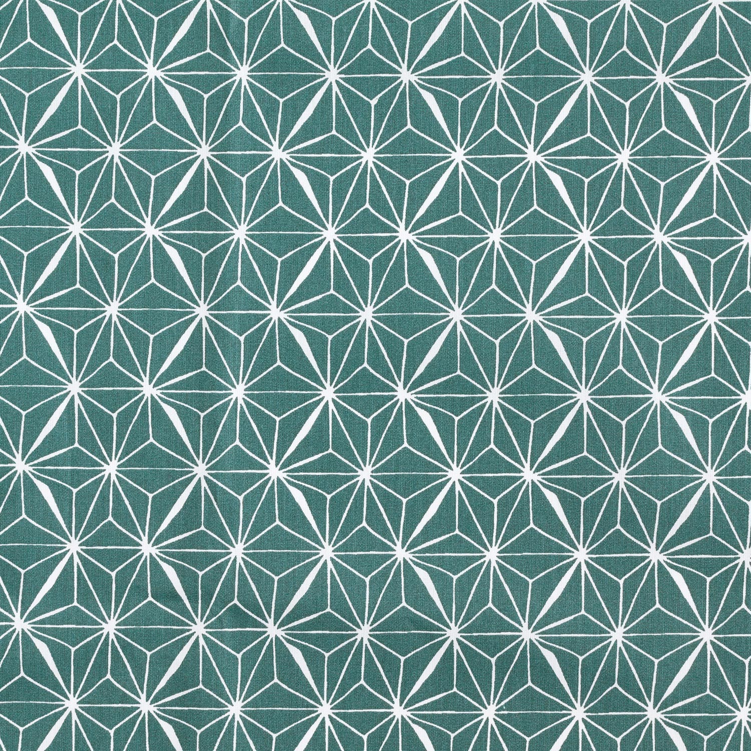 Coton enduit Étoiles graphiques – sapin bleu/blanc