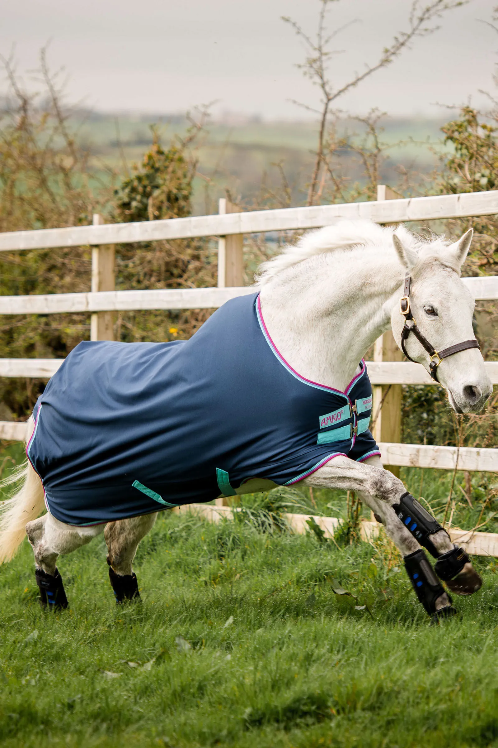 Horseware Couverture d'extérieur Amigo Hero 900 Poney 200 g